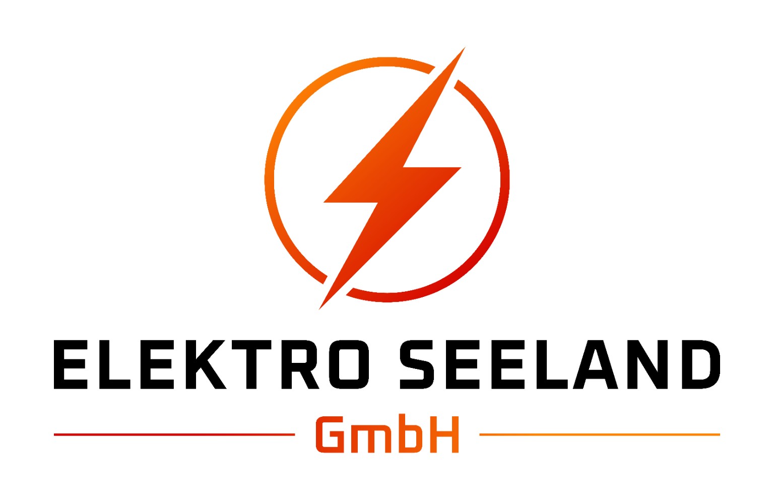 Elektro Seeland GmbH